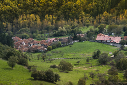 Por encima del pueblo de Colio el prado de 12.000 metros cuadrados prara uso de los huéspedes de los Apartamentos Los Picos de Europa (Colio, Liébana).