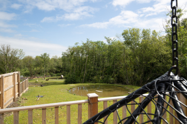Views of the ponds and animals