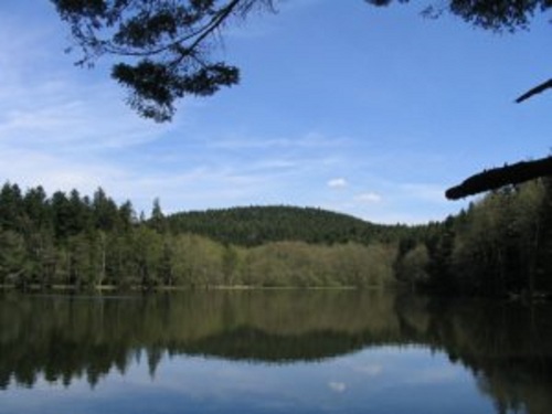 vente de carte de pêche étang du villerain
