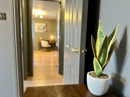 Contemporary features