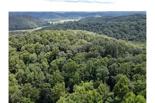 Aerial View of the completely secluded 60 acres!