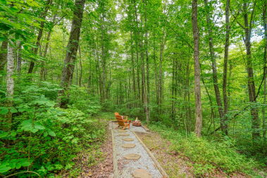 secluded fire pit area in woods