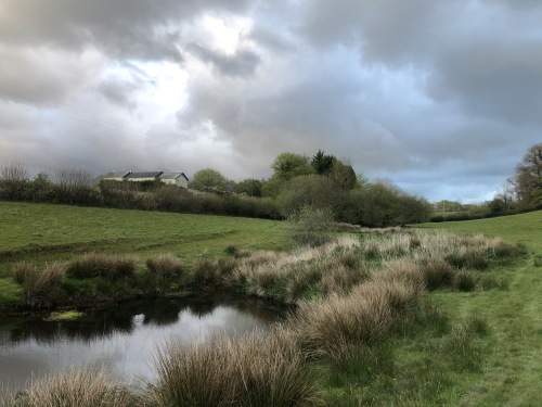 Dramatic skies over the cottages of West Ford Estate.