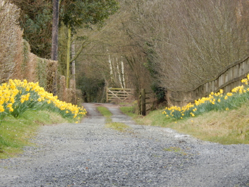 The Hayloft - Self catering for Two