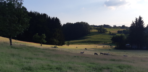Gîte rural La Rénée'Sens - Wibrin 