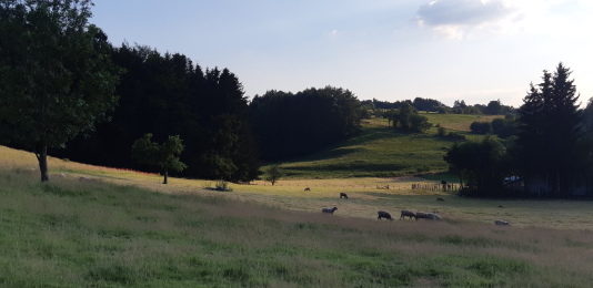 Gîte rural La Rénée'Sens - Wibrin 