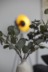 Bright and well-maintained interior offering a relaxing atmosphere.