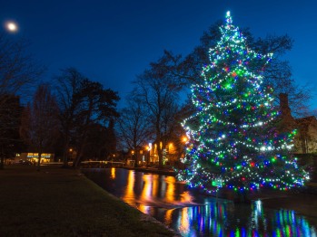 Christmas tree in the river
