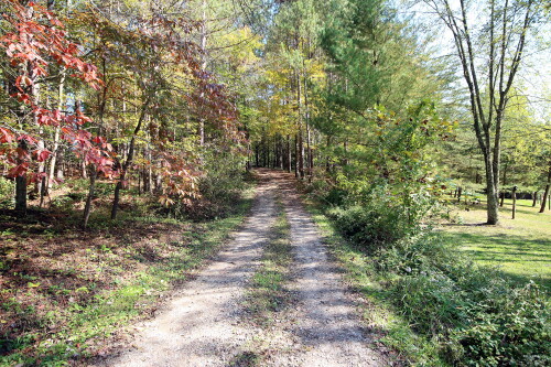 Looking up the driveway toward Wagner Road