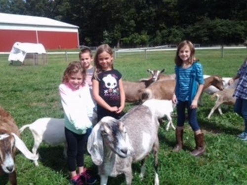 Kids with kids & goats