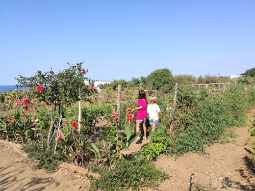 l' orto per gli ospiti dell'agriturismo