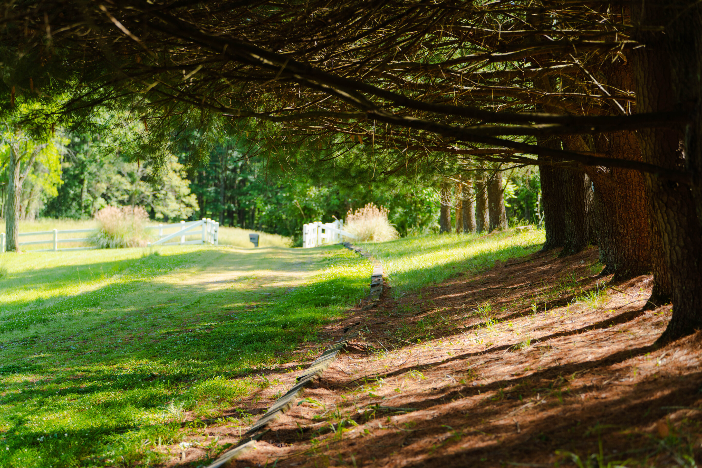 Whispering Acres | Photo 45