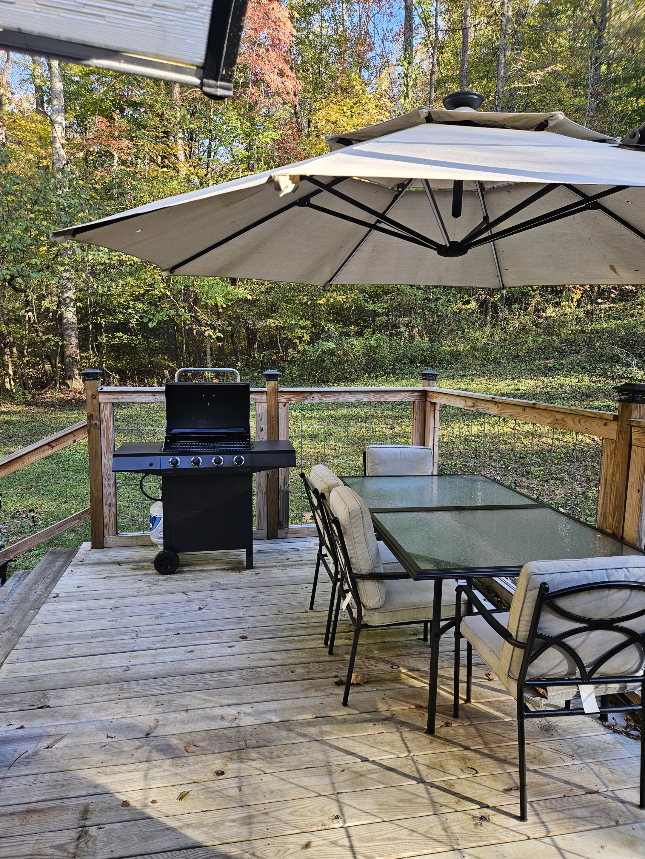 Sycamore Yurt | Photo 21