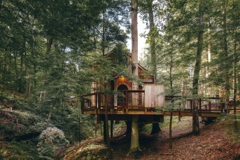 The Beech Treehouse at Hocking Hills Treehouse Cabins - 