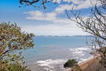 View from Forest