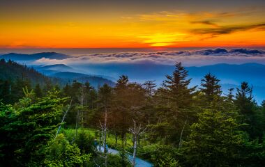 Only 10 miles from HavenHeart, the Smoky Mountain National Park entrance opens the door to endless trails and breathtaking views.