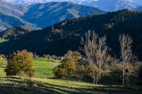 Vista del otoño muy cerca de los Apartamentos Los Picos de Europa (Coio, Valle de Liébana)