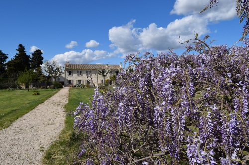 Maison d'hôtes La Bastide des Amouriers