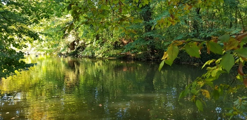 Bois de Vincennes