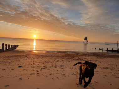 Dovercourt Beach 10 minutes walk from the Wellie Stern