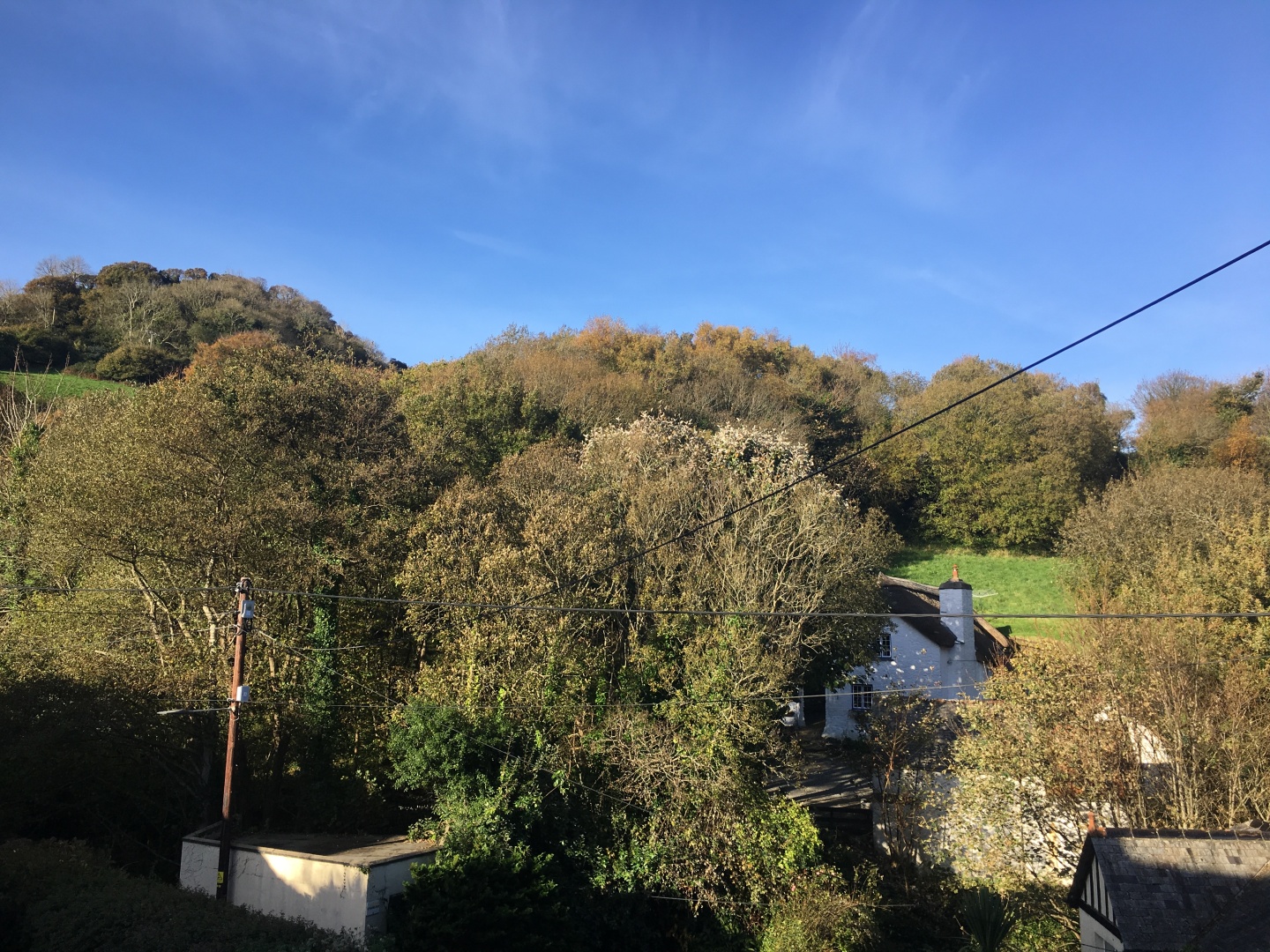 Newberry Beach Lodge, Combe Martin Homepage