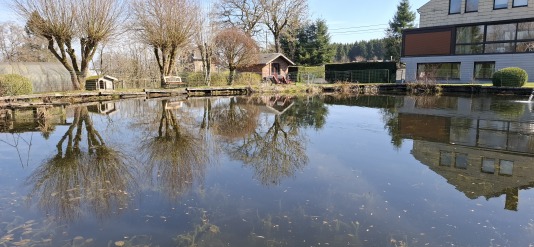 Extérieur étang et jardin