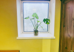 Bedroom: Bedroom view