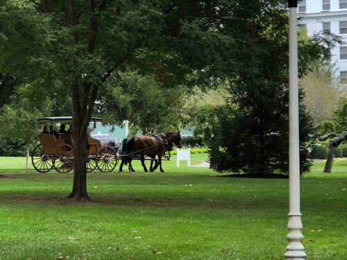 Horse drawn carriage ride