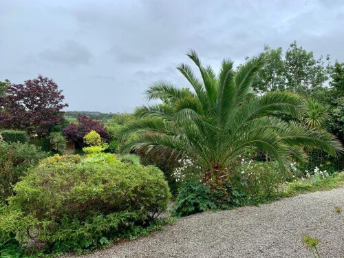 Beautiful garden and terrace at Penquite.