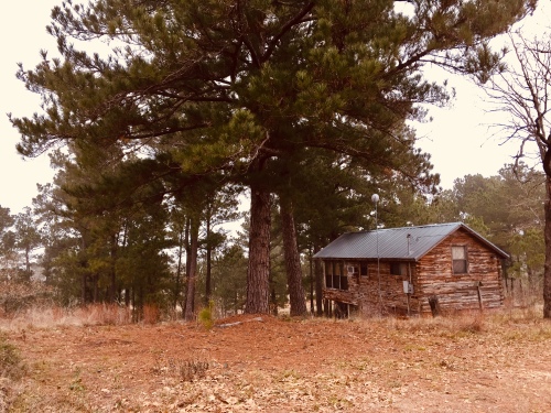 Eagles Nest Log Cabin is romantic, private and on hill with view.