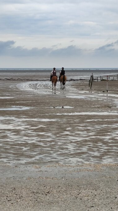Balade à Cheval dans la Baie de Cherrueix