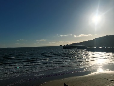 saundersfoot harbour at high tide 