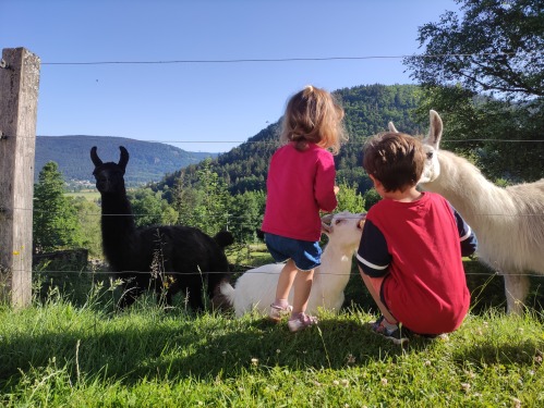 Parc animalier.