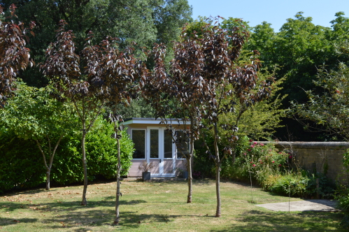 Walled garden