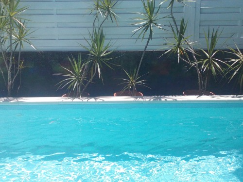 Piscine à eau salée