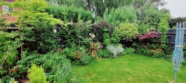 The garden is looking lush in May 