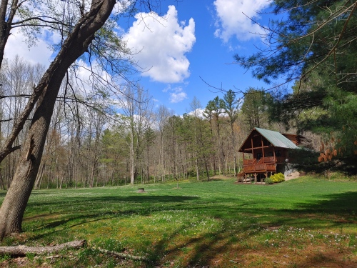 Spring view of field and cabin