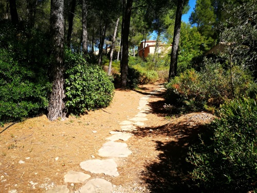 Jardin, pinède