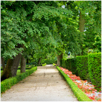 Vue du Parc Rochegude