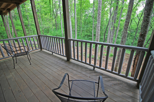 Deck Chairs, looking toward Forest