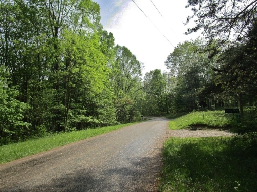 Our quiet, township road in summer; cabin entrance on right.