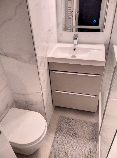 vasque simple et toilettes