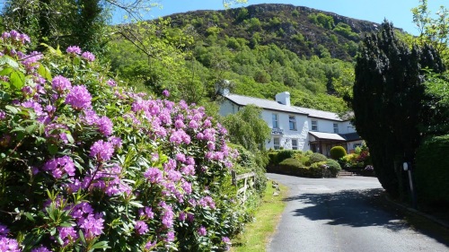 The House exterior and driveway