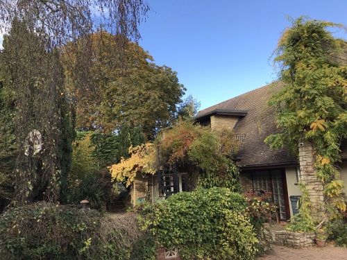 Sandford Meadow Guest House - Guest House - Autumn colours