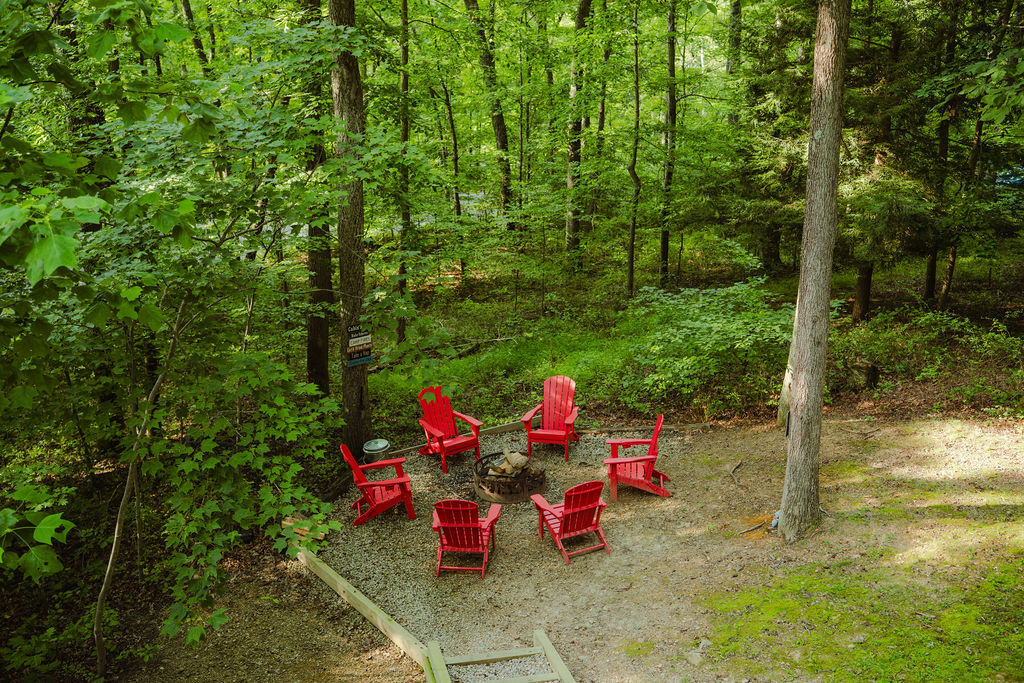 The Scarlet Fox | Photo 55
