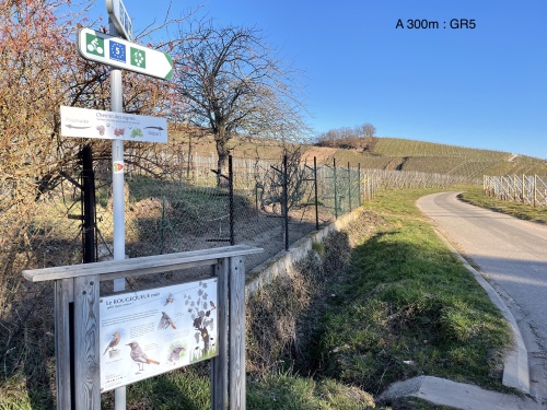 GR5