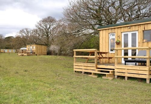 Buttercup and Bluebell glamping huts