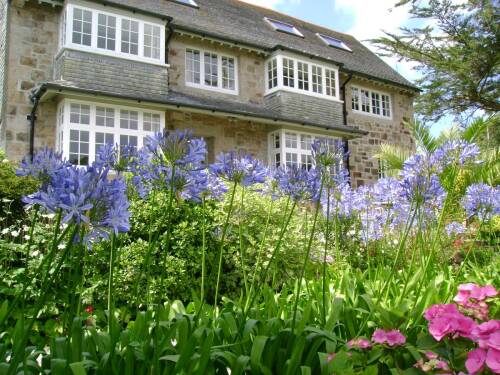 Penquite from the rear garden