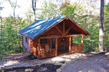 Riley Ridge Cabins - Bear Hugs - 