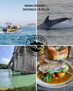 Menai Bridge - 6 Miles